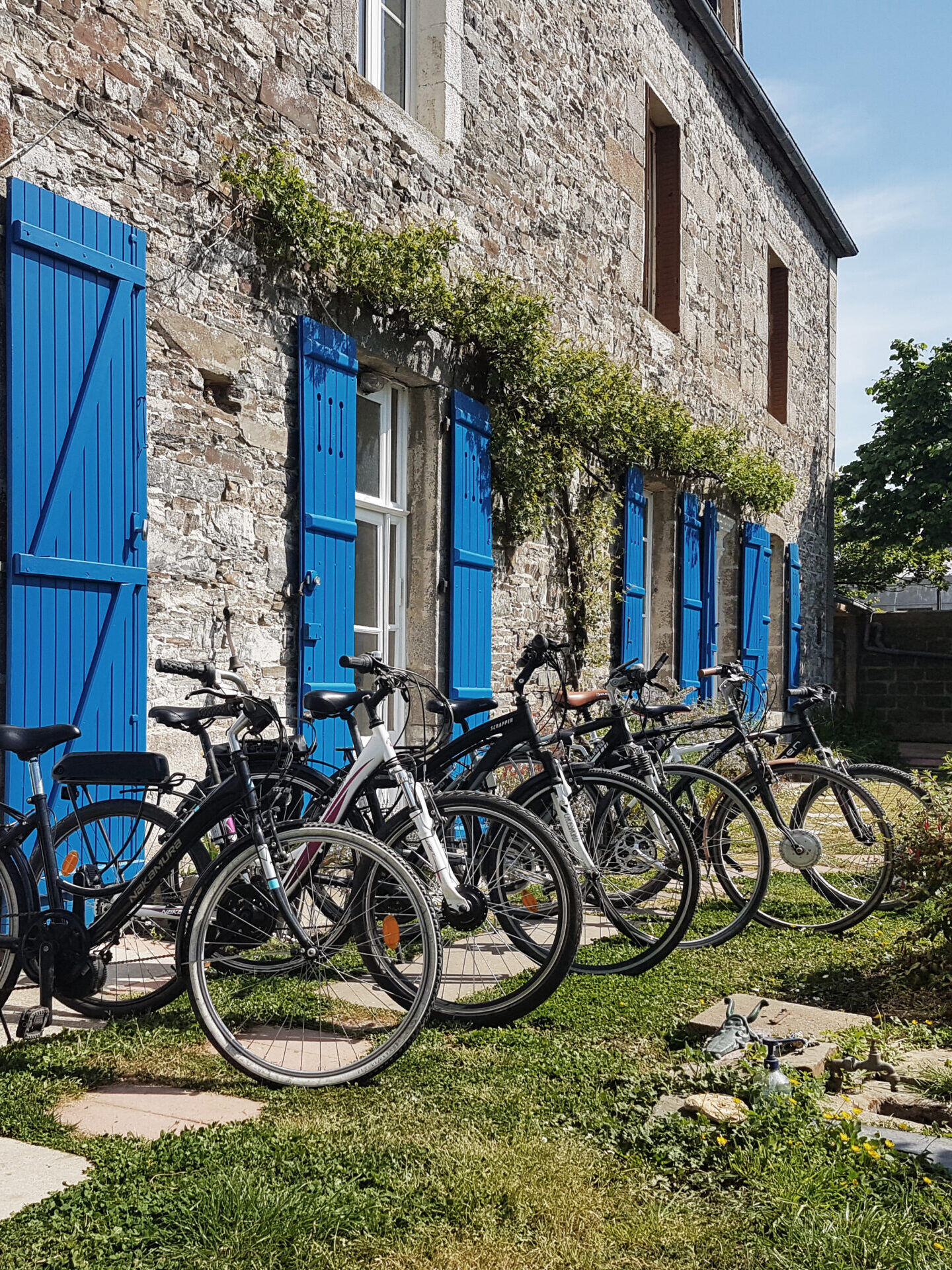 La flotte de vélos de location, aussi à vendre !